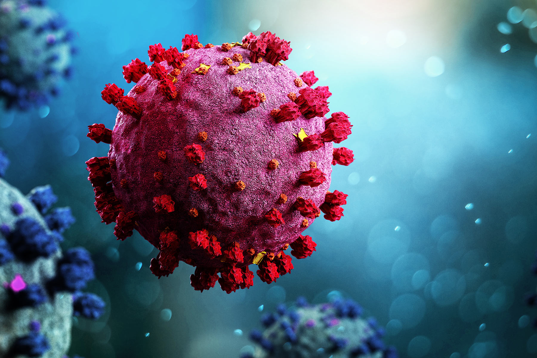 Covid 19 Information